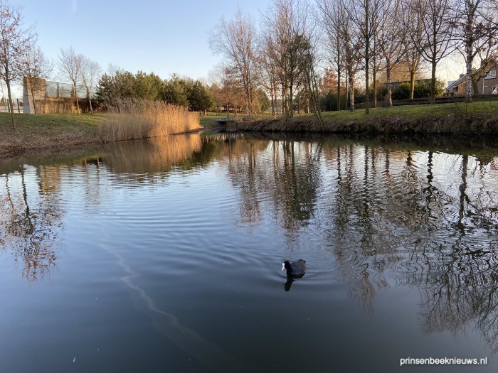 Tijdelijke pop-up horeca in Park Over-Bos
