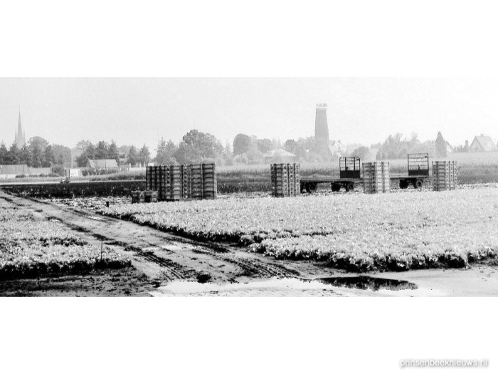 Boek over Kruisstraat en Vinkenburg nog te bestellen