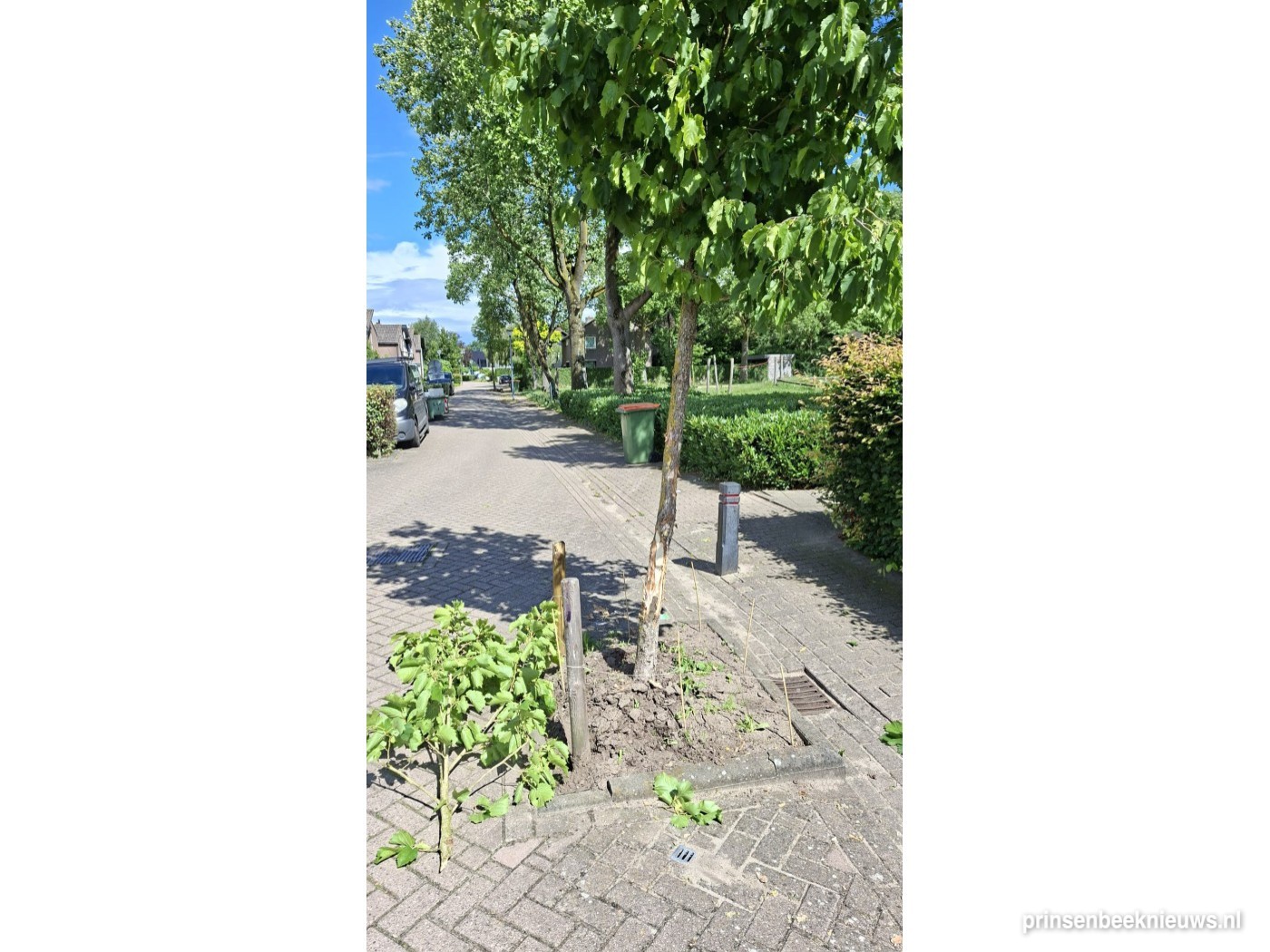 Zeven keer raak