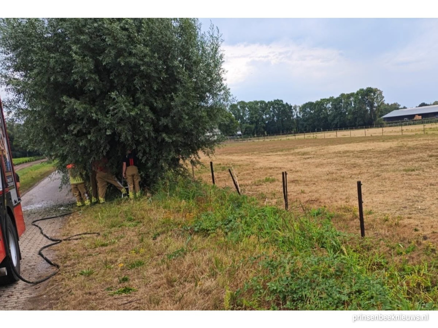 Blikseminslag knotwilg Polderweg