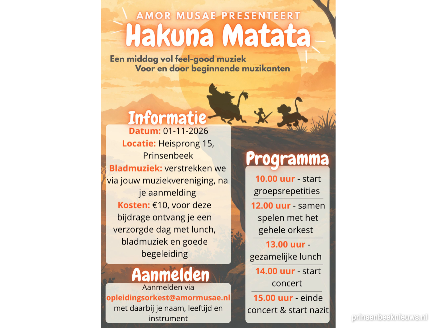 Samen muziek maken met Hakuna Matata van Amor Musae