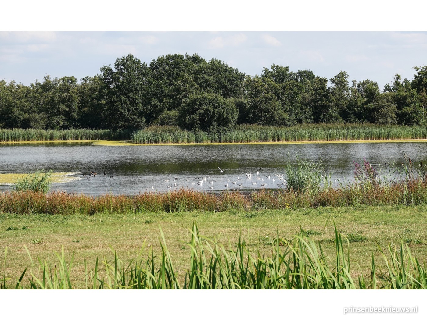 IVN-fietstocht door Noordrand Midden