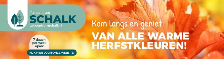 Schalk herfst